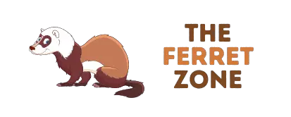 The Ferret Zone