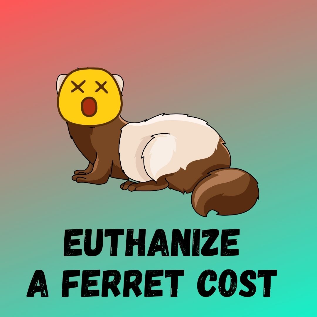 Cost of Euthanizing a Ferret: Factors, Savings, and Care