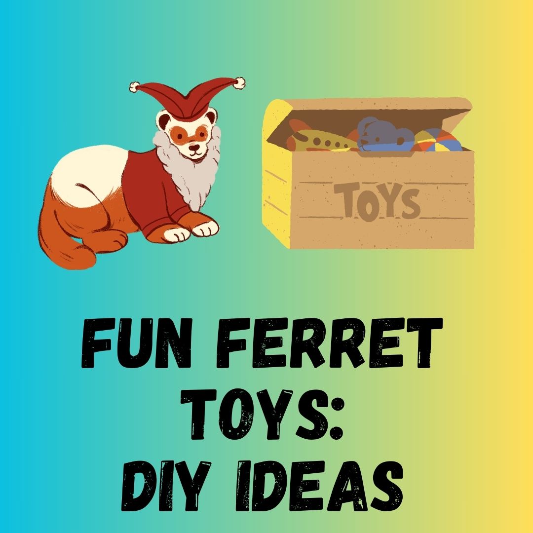 Fun Ferret Toys DIY Ideas