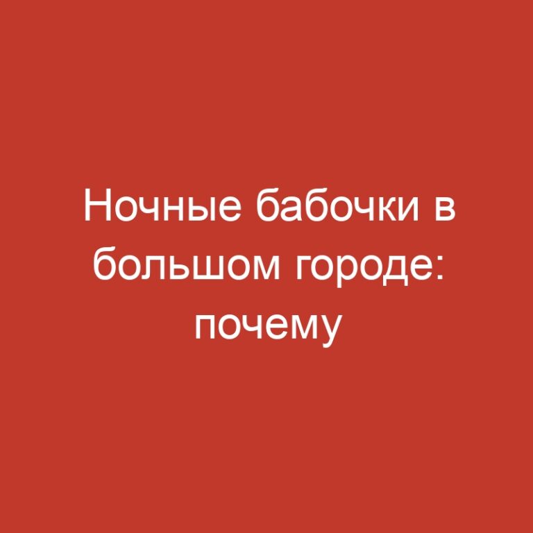 Ночные бабочки в большом городе: почему крупные города привлекают девушек легкого поведения?